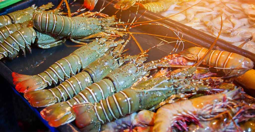 Mengapa Lobster Sangat Digemari di Negara Cina? 