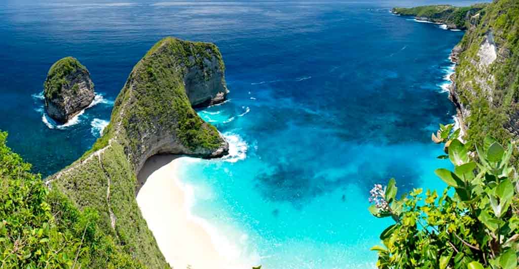 Mengapa Coral Indonesia Sangat Diminati: Fakta-fakta Menariknya 